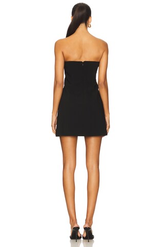 Ketchum Mini Dress - luluinthesky