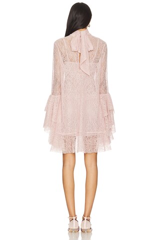 Norma Mini Dress - luluinthesky