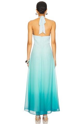 Aden Ombre Maxi Dress - luluinthesky