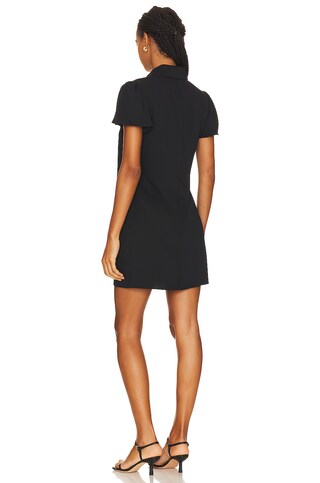 Heddy Mini Dress - luluinthesky