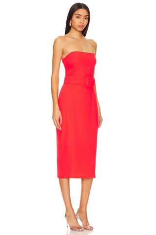 x REVOLVE Fae Midi Dress - luluinthesky