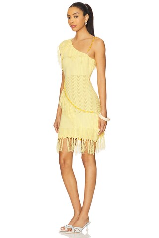 Fran Beaded Dress - luluinthesky