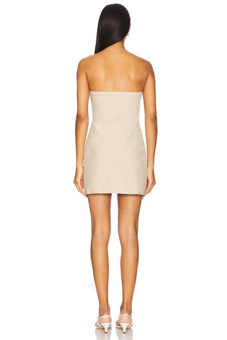 Layla Mini Dress - luluinthesky