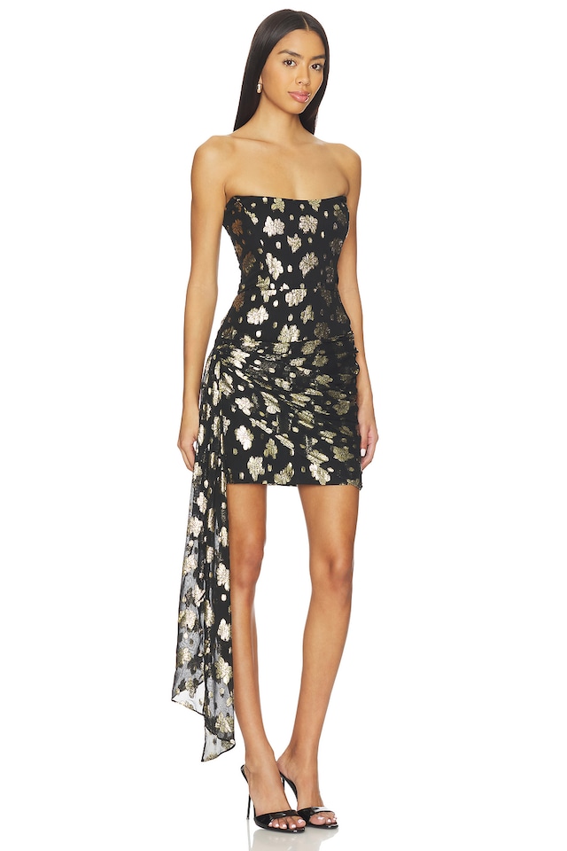 Alaia Dress - luluinthesky