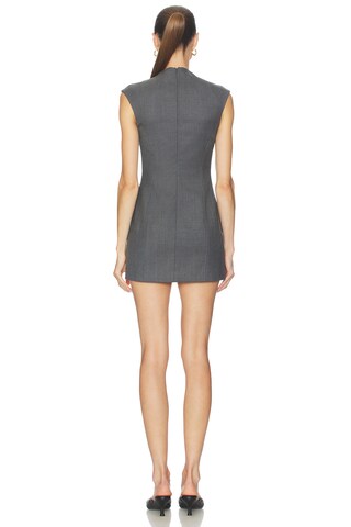 Arden Mini Dress - luluinthesky