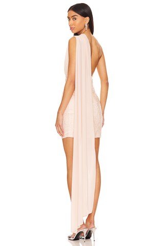 Enyo Lace Mini Dress - luluinthesky