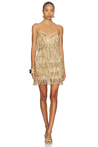 Samara Mini Dress - luluinthesky