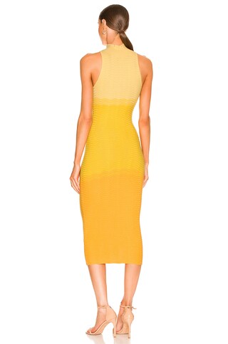 Cressida Dress - luluinthesky