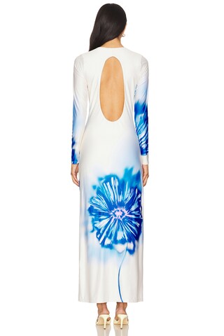 Lim Long Dress - luluinthesky