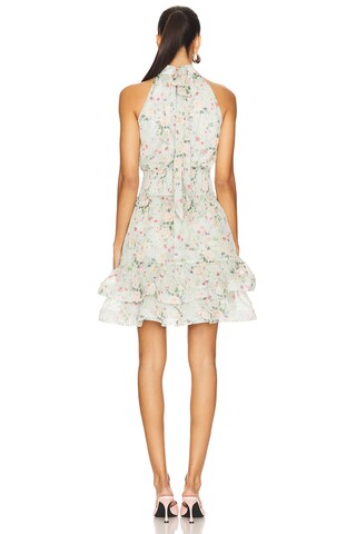 Milena Mini Dress - luluinthesky