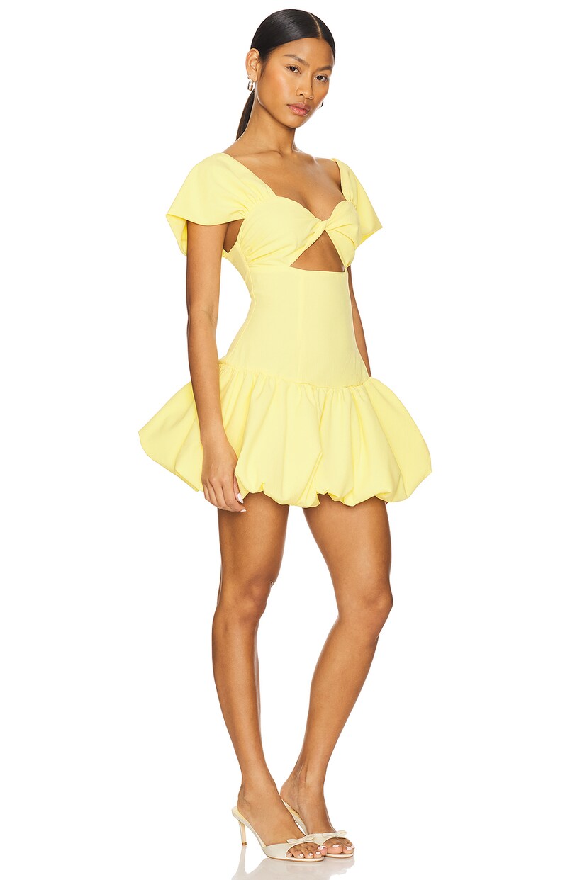 Adda Mini Dress - luluinthesky