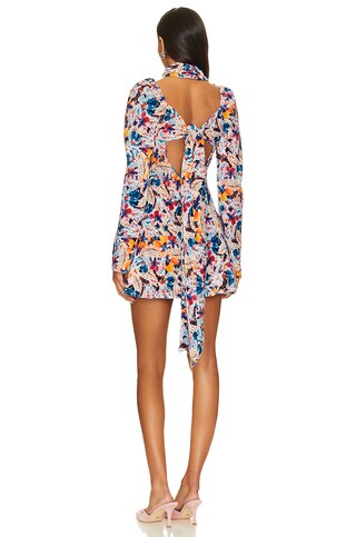 Blake Mini Dress - luluinthesky