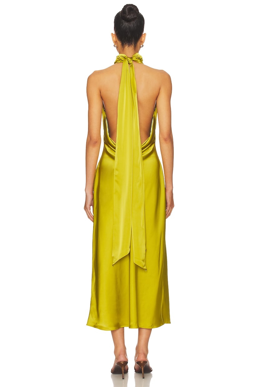 Reina Midi Dress - luluinthesky