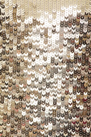 Isabetta Sequin Fringe Mini Dress - luluinthesky