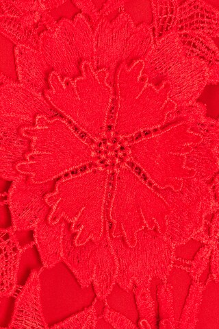 Adei Midi Dress - luluinthesky