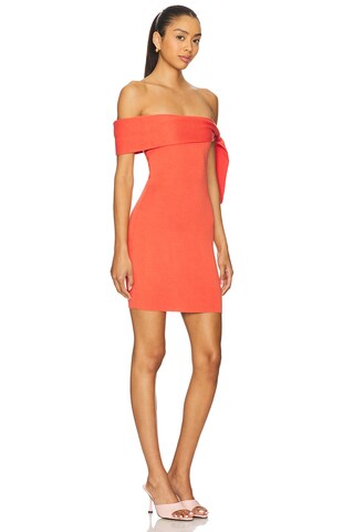 x REVOLVE Jaymes Mini Dress - luluinthesky