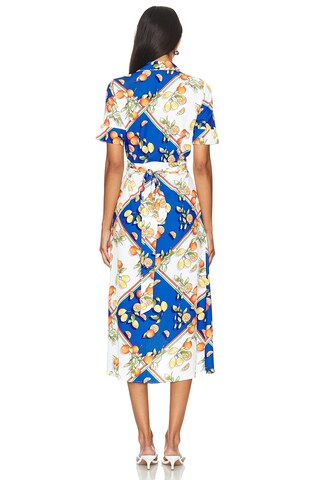 Brooklyn Dress - luluinthesky