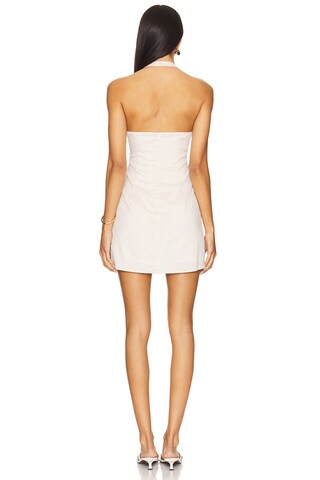 Carlita Mini Dress - luluinthesky