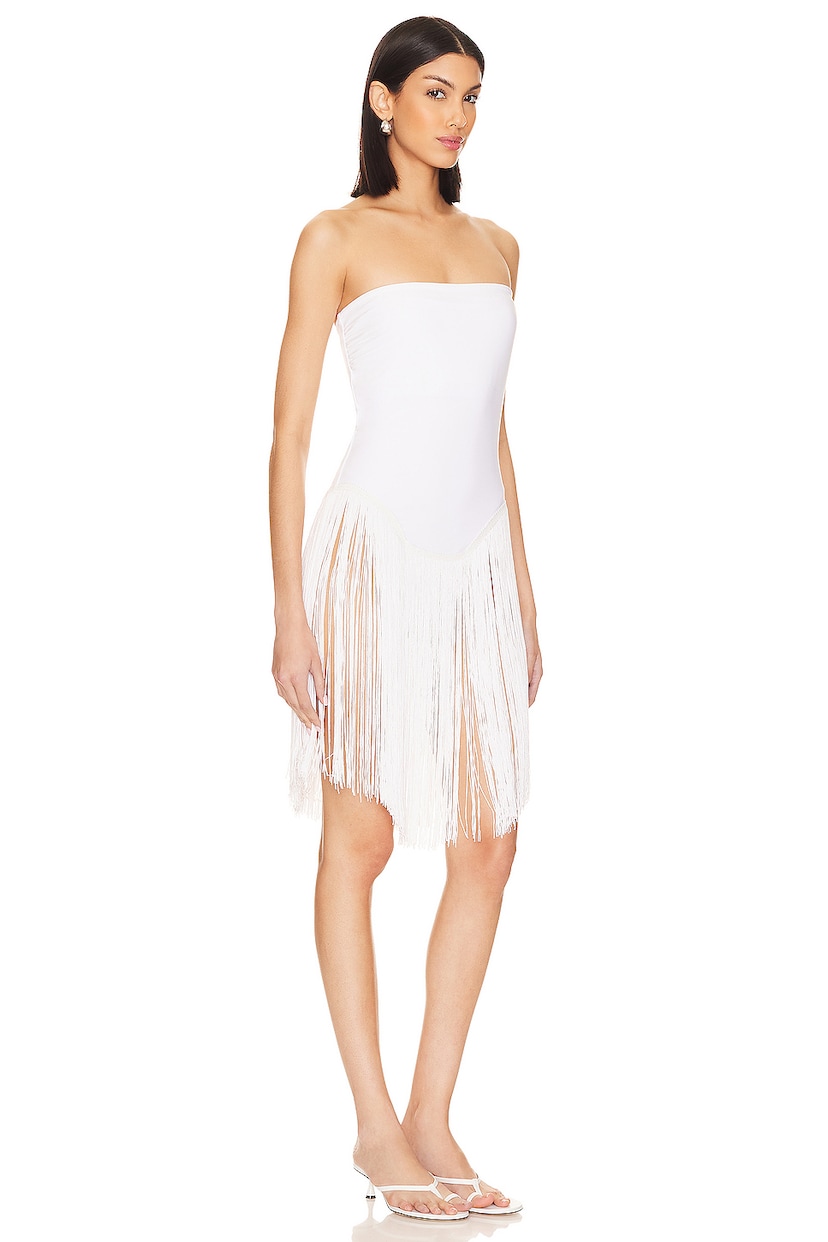x REVOLVE Fringe Dress - luluinthesky