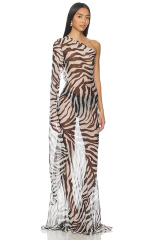 Zebra Print Maxi Dress - luluinthesky