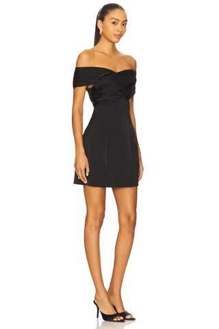 Violla Mini Dress - luluinthesky