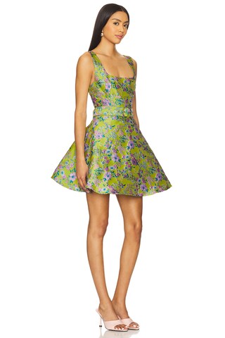 Zenobia Mini Dress - luluinthesky