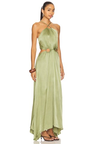 x REVOLVE Visitant Maxi Dress - luluinthesky