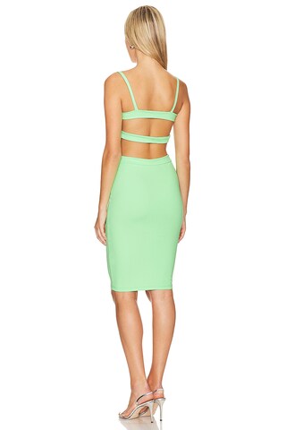 Open Back Mini Dress - luluinthesky