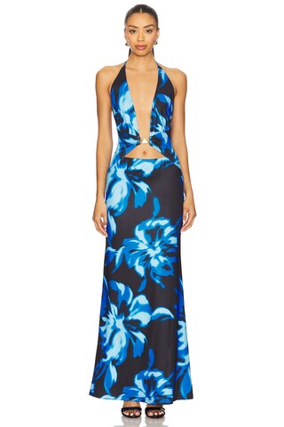 Halston Maxi Dress - luluinthesky