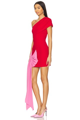 x REVOLVE Jamie Dress - luluinthesky