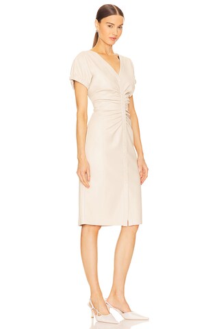 Arin Dress - luluinthesky