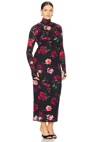 Shailene Lace Dress - luluinthesky