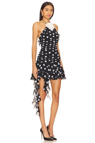 Brandi Mini Dress - luluinthesky