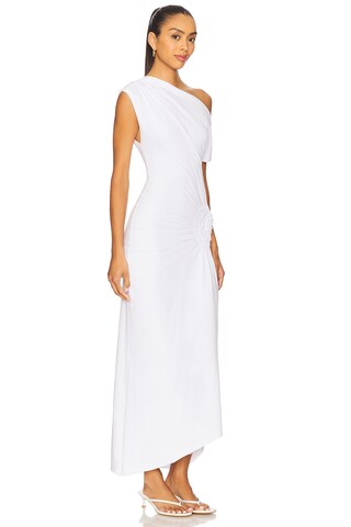 Olividae Maxi Dress - luluinthesky