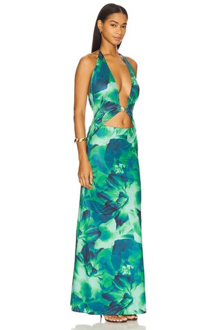 Halston Maxi Dress - luluinthesky