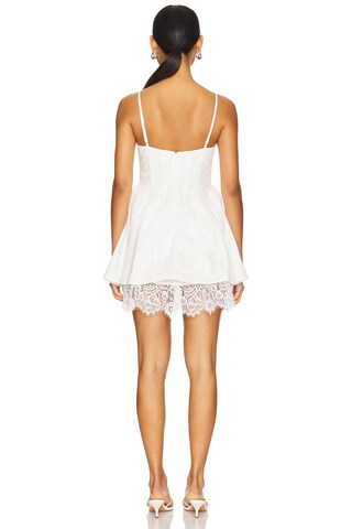 Shae Mini Dress - luluinthesky