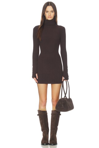 Knit Turtleneck Tunic Dress - luluinthesky