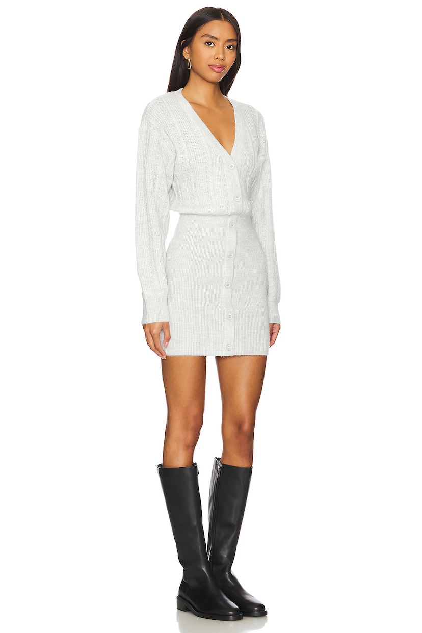 Brylee Mini Dress - luluinthesky