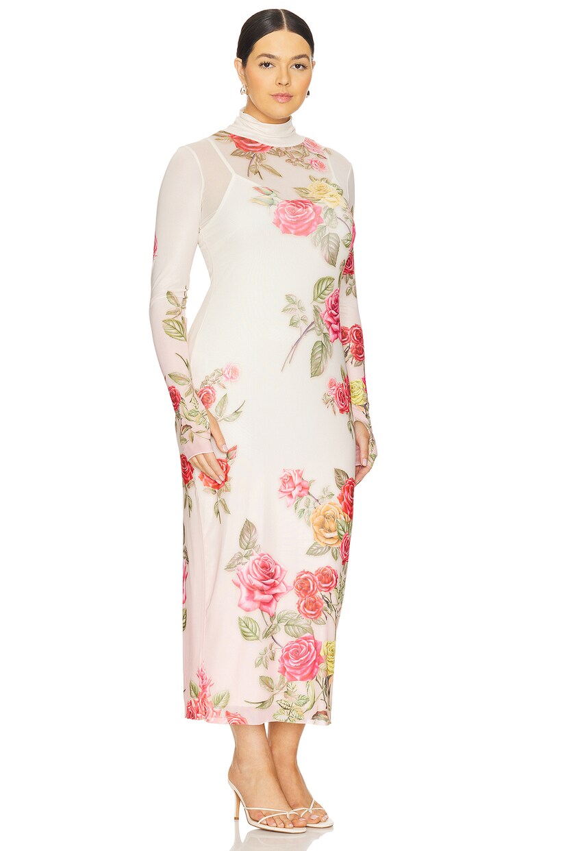 Shailene Mesh Dress - luluinthesky