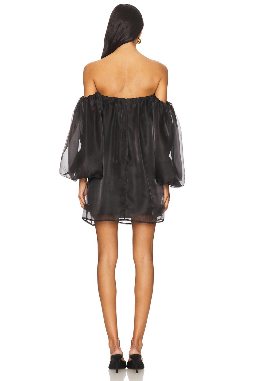 Freda Volume Mini Dress - luluinthesky