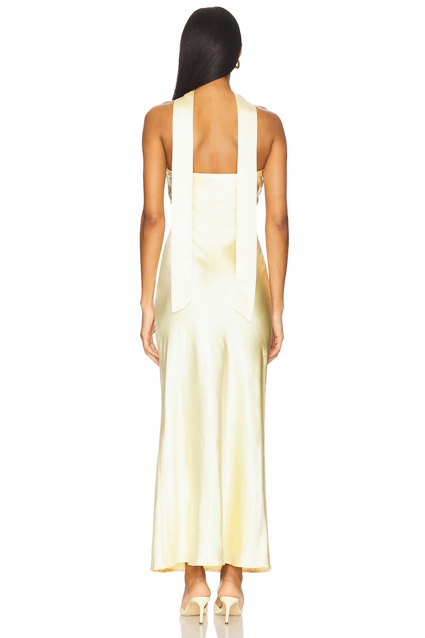 x REVOLVE Angelina Neck Tie Maxi Dress - luluinthesky