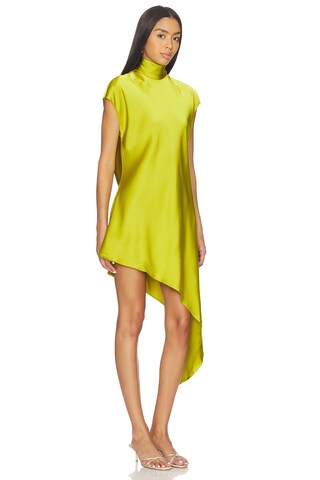 Reina Mini Dress - luluinthesky