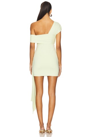 Kassi Ruched Mini Dress - luluinthesky