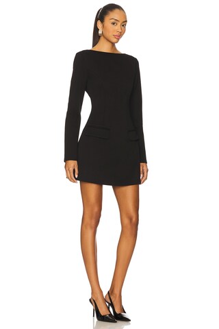 Elodie Dael Mini Dress - luluinthesky