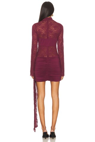 Larna Lace Long Sleeve Mini Dress - luluinthesky