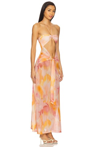 Berrie Dress - luluinthesky