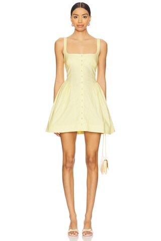 Astrid Oxford Mini Dress - luluinthesky