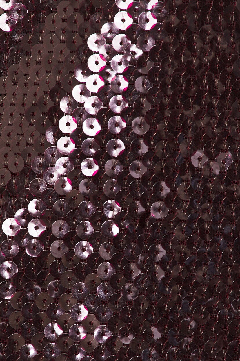 Crystal Embroidered Mini Dress - luluinthesky