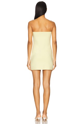 Bonni Mini Dress - luluinthesky