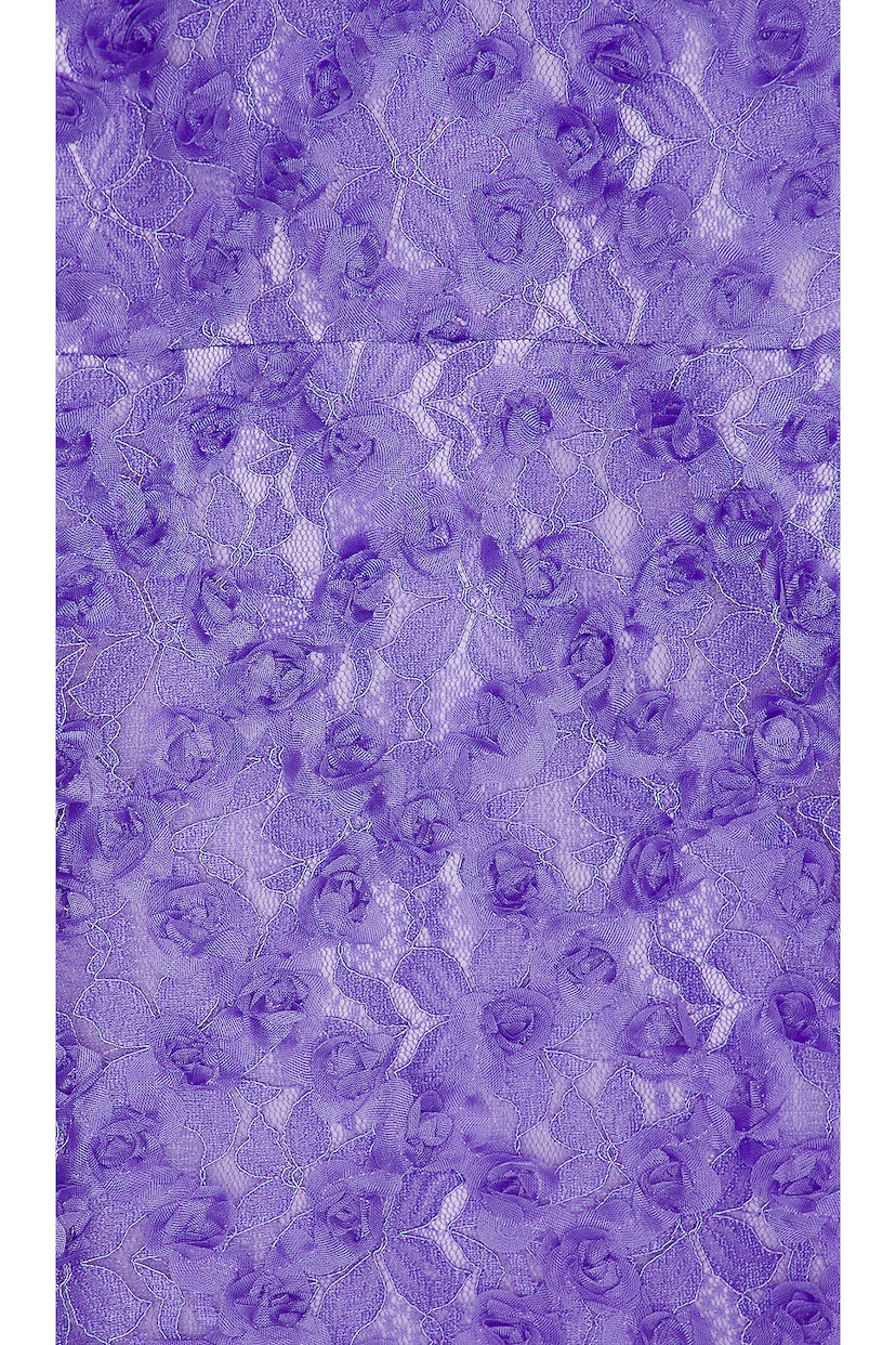 Floral Lace Marshall Mini Dress - luluinthesky